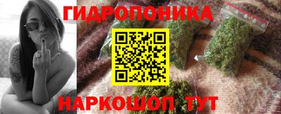 скорость Будённовск