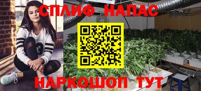 трава Бугуруслан