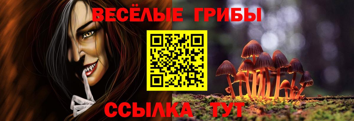 Прохладный  Псилоцибиновые грибы Cubensis  Вход с VPN 